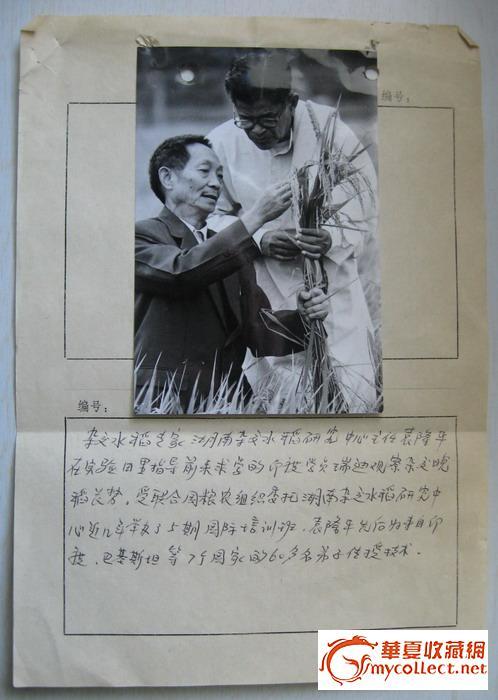 老新闻稿(带照片) 袁隆平_老新闻稿(带照片) 袁