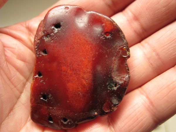 金绞蜜老品蜜蜡龙_金绞蜜老品蜜蜡龙价格_金绞蜜老品蜜蜡龙图片_来自藏友友石_杂项_地摊交易_华夏收藏网 cang.com