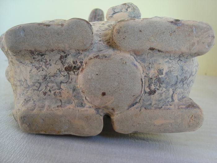 古代怪兽与圣斗士_古代怪兽与圣斗士价格_古