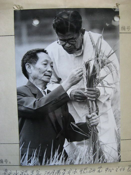 老新闻稿(带照片) 袁隆平_老新闻稿(带照片) 袁
