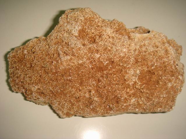 Żʯ