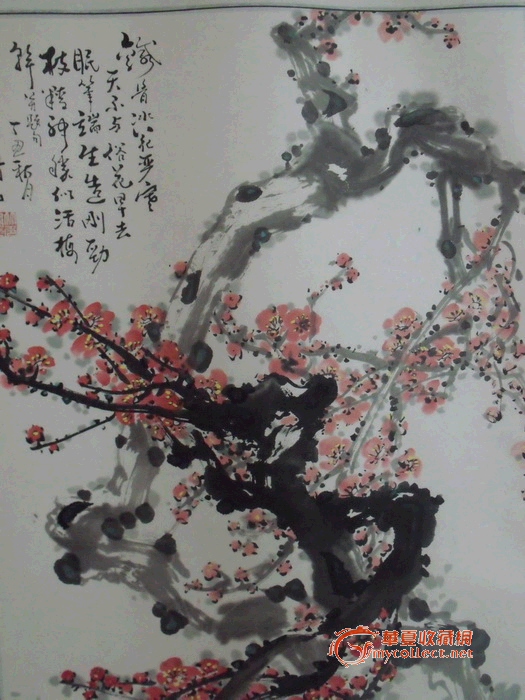 张竹多精品三尺梅花