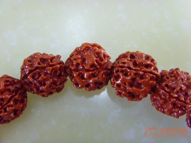 印度天然 金刚菩提子_印度天然 金刚菩提子价格_印度天然 金刚菩提子图片_来自藏友pbq_杂项_地摊交易_华夏收藏网 cang.com