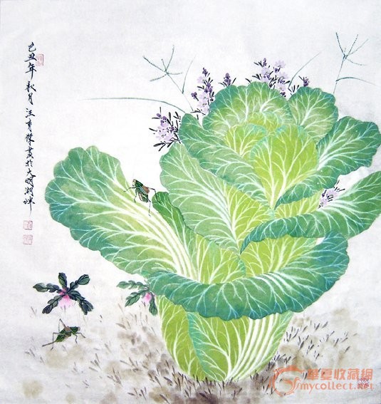 汪育杰花鸟《大白菜》