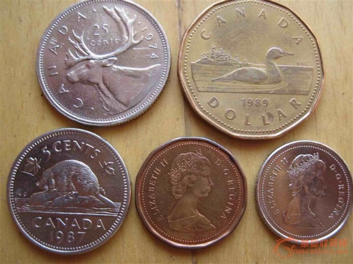 加拿大币一套