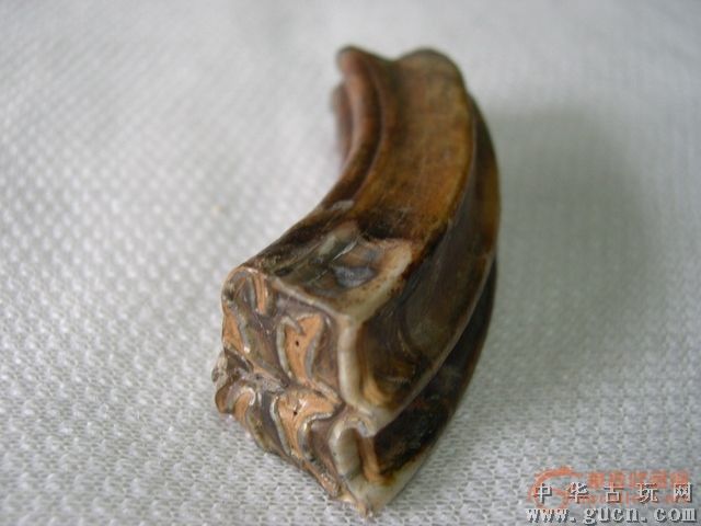 老动物牙齿(以钙化) _老动物牙齿(以钙化) 价格