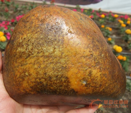 2103克新疆和田虎皮石包玉籽料