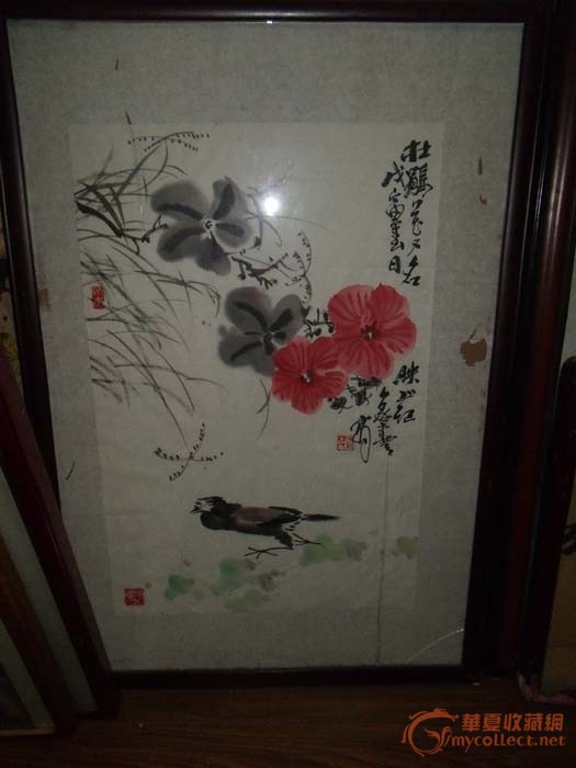 杨象宪