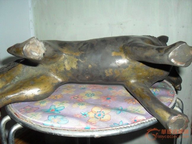 外国来的一只大狗_外国来的一只大狗价格_外