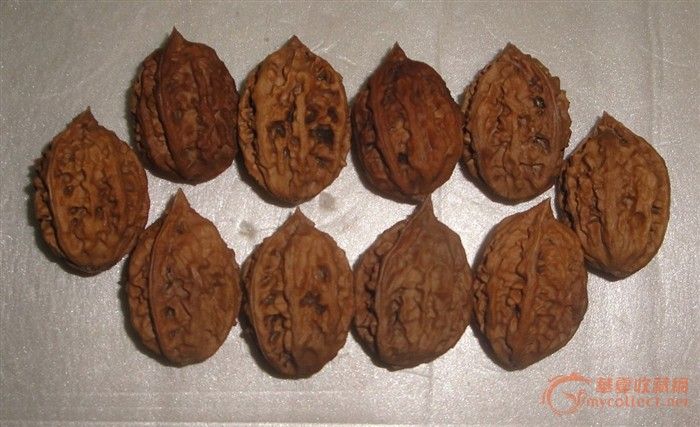 山核桃-山核桃价格-山核桃图片,来自藏友澜粹阁