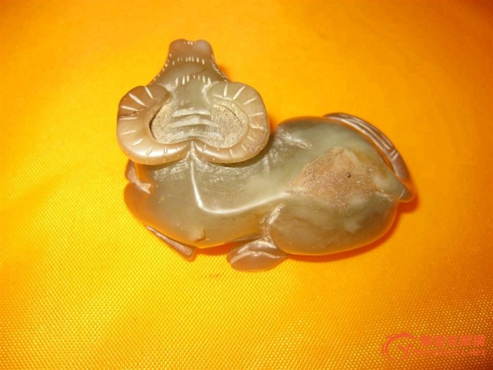 ţ