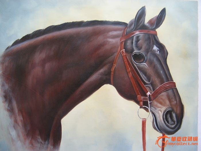 4109中国美院油画 马 50cm x 60cm _4109中国美院油画