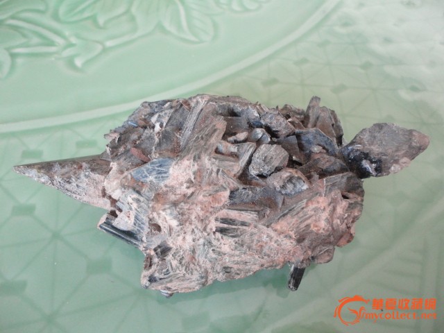 黑晶石龟-黑晶石龟价格-黑晶石龟图片,来自藏友