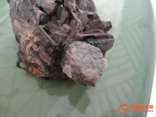 黑晶石龟-黑晶石龟价格-黑晶石龟图片,来自藏友