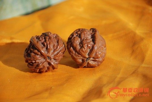 山核桃 纯野生小狮子头一对-山核桃 纯野生小狮