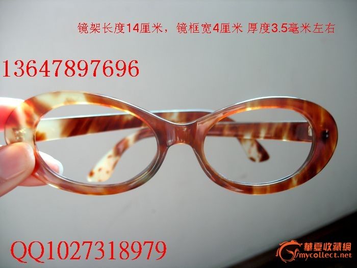 玳瑁背甲壳图片