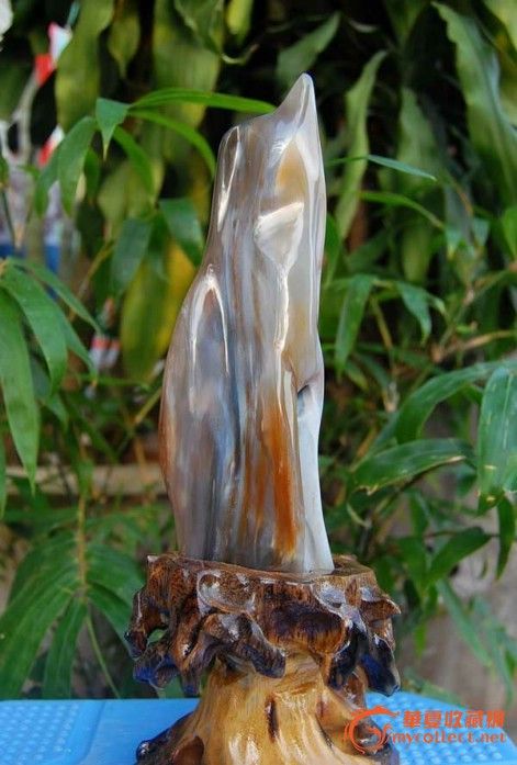 两亿年的树玉【蓝水料】