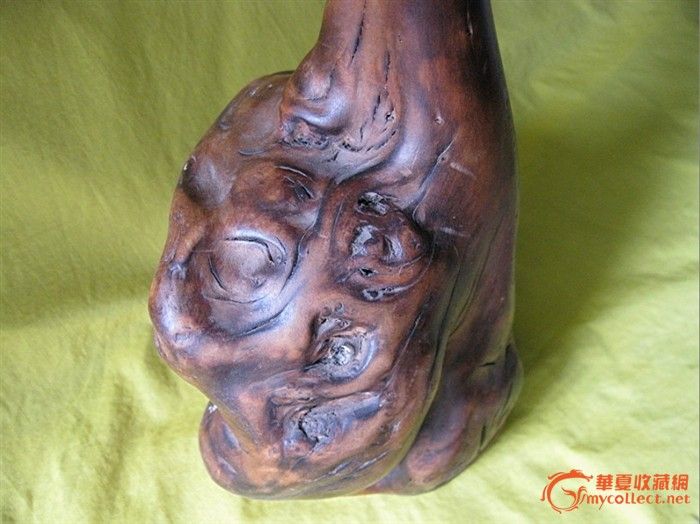 妙绝天工、大雅大美的干枝梅(老油茶树根瘤)_