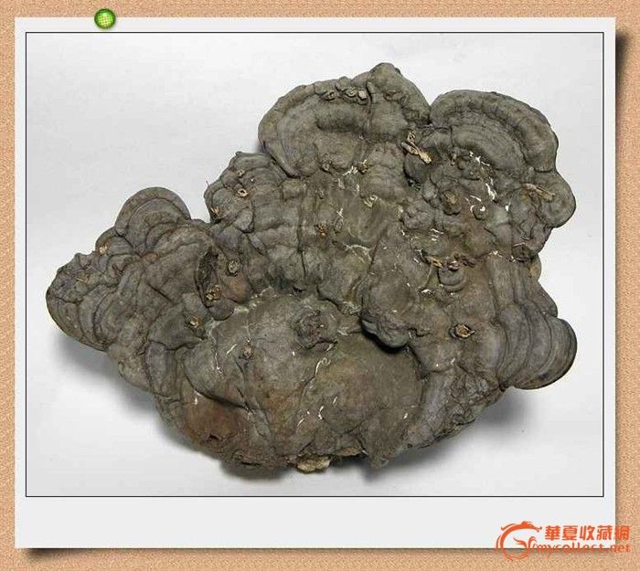 八音石_八音石价格_八音石图片_来自藏友leikleik_杂项_地摊交易_华夏收藏网 cang.com