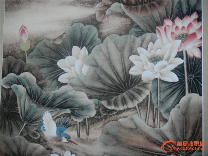 荷花画一张_荷花画一张价格_荷花画一张图片