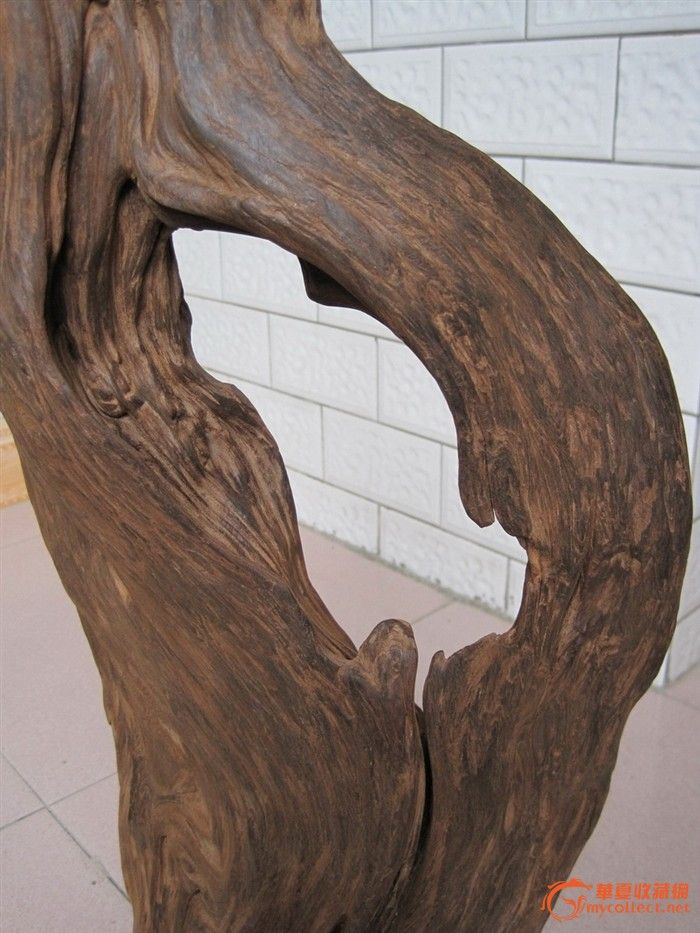 越南顶级水沉香(深理在古时越南地里上千年的