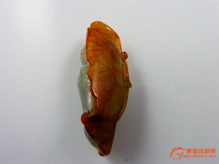 【翠玉阁】老坑冰种黄皮巧雕英明神武(鹦鹉)送