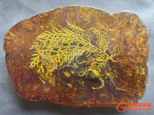 老琥珀 虫珀-老琥珀 虫珀价格-老琥珀 虫珀图片