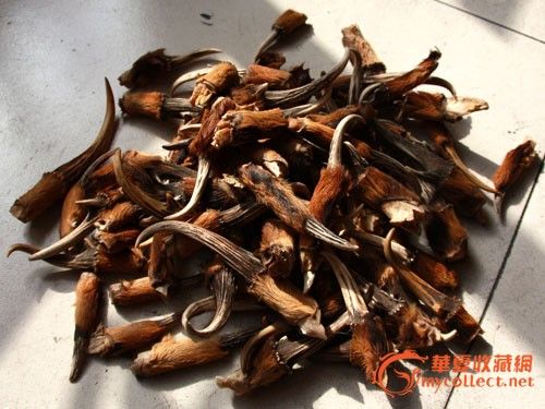 麂子角大小71个_麂子角大小71个价格_麂子角