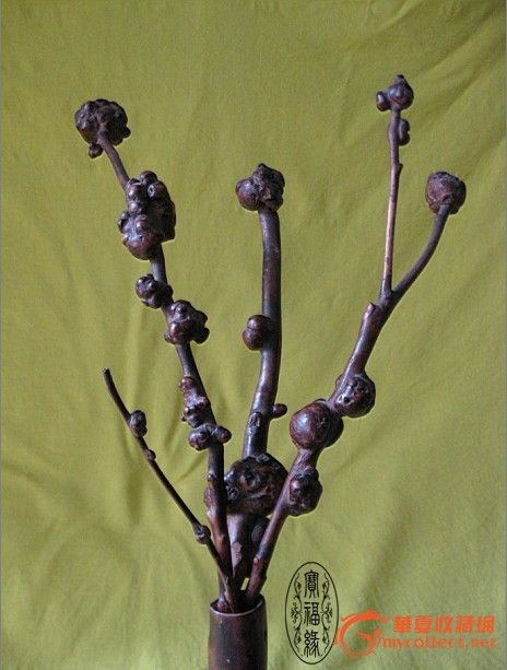 妙绝天工、大雅大美的干枝梅(老油茶树根瘤)_