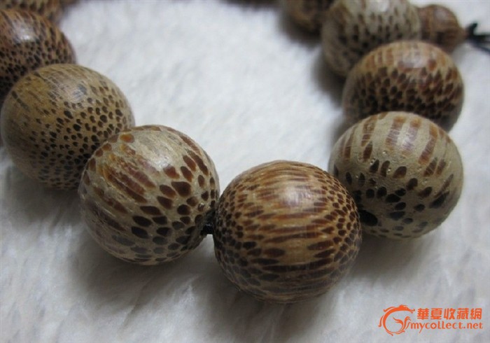 顶级越南虎*沉香名家收藏分享