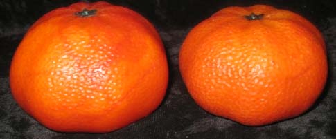 寿山石 两个橘子 摆件-寿山石 两个橘子 摆件价
