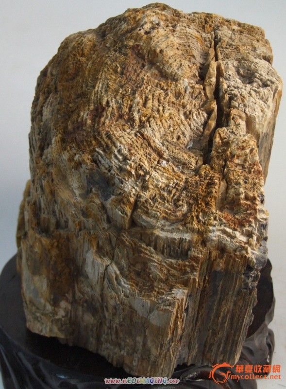 原生态树化玛瑙12_易速网 原生态树化玛瑙12