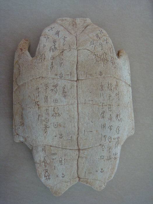 甲骨文