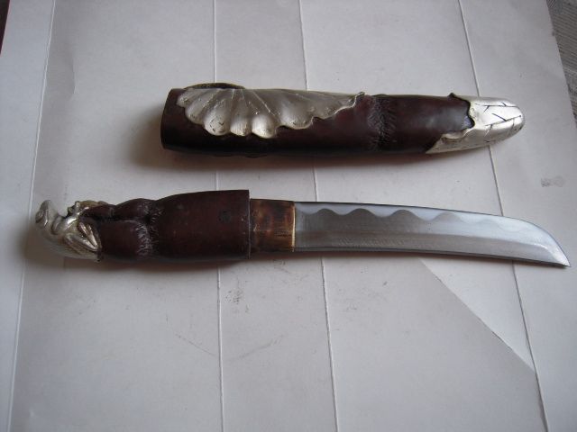 青蛙---剖腹刀=补图