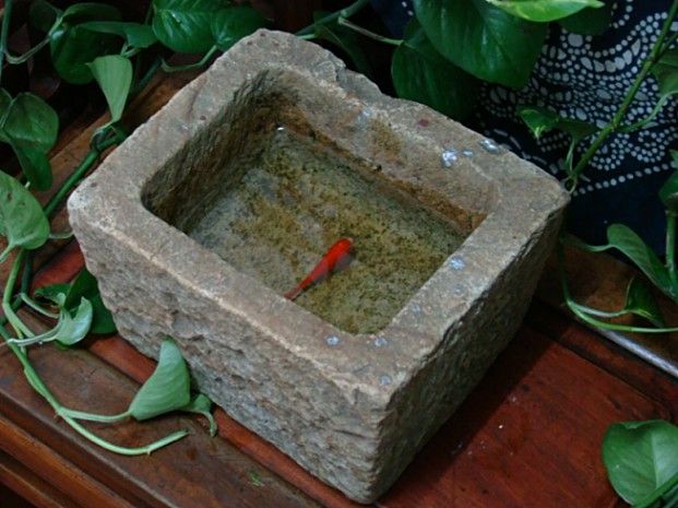 石头鱼盆[清代]