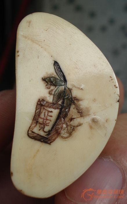 地摊 杂项 海猪牙 显示上一幅图片 显示下一幅图片