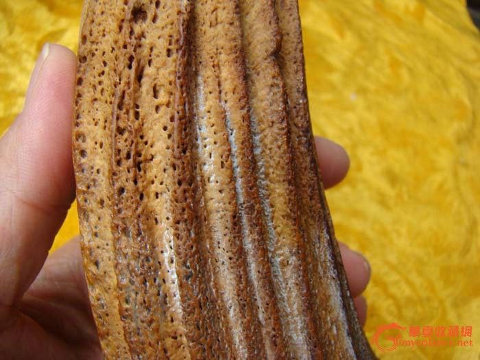 原始犀牛角出土摆件图片_来自藏友华丰巨人_杂项_地摊交易_华夏收藏网