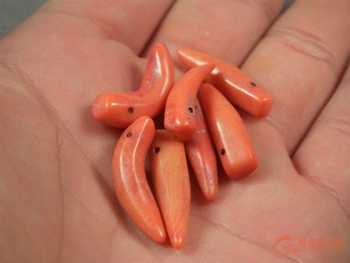 绝对包老 清代孩儿面红珊瑚月牙形坠七件