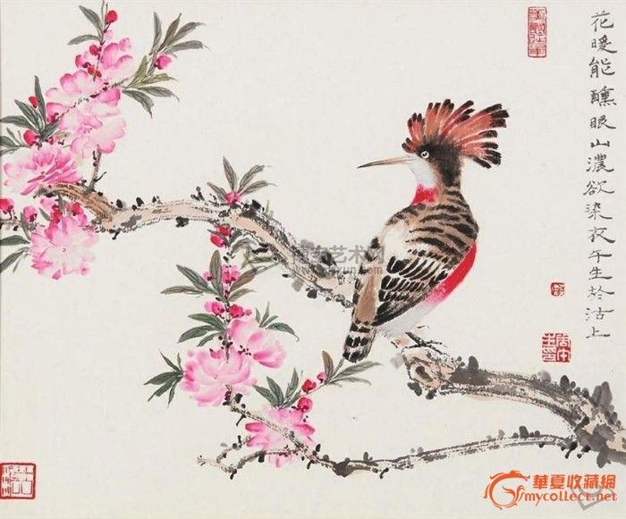 周午生精品花鸟画欣赏