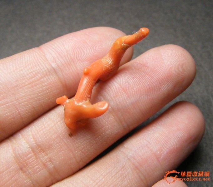 开门之物 清代.老发簪装饰老辣椒红红珊瑚大原枝(1号)